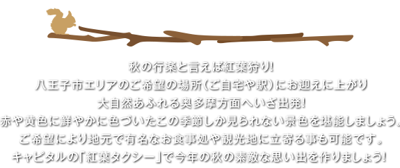 紅葉タクシーについて 秋の行楽と言えば紅葉狩り！八王子市エリアのご希望の場所（ご自宅や駅）にお迎えに上がり大自然あふれる奥多摩方面へいざ出発！赤や黄色に鮮やかに色づいたこの季節しか見られない景色を堪能しましょう。ご希望により地元で有名なお食事処や観光地に立寄る事も可能です。キャピタルの「紅葉タクシー」で今年の秋の素敵な思い出を作りましょう！ 