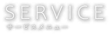 SERVISE サービスメニュー