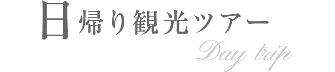 日帰り観光ツアー半日～1日 Day trip